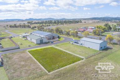 Residential Block For Sale - NSW - Deepwater - 2371 - Industrial Land Opportunity  (Image 2)