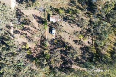 Residential Block For Sale - NSW - Inverell - 2360 - PEACEFUL RETREAT  (Image 2)