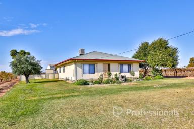 Horticulture For Sale - VIC - Nichols Point - 3501 - Location! Location! Location! Nichols Point Vineyard 7.591Ha  (Image 2)