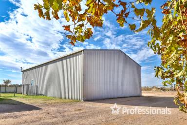 Horticulture For Sale - VIC - Nichols Point - 3501 - Location! Location! Location! Nichols Point Vineyard 7.591Ha  (Image 2)