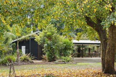 Lifestyle For Sale - VIC - Forrest - 3236 - Captivating Forrest Property  (Image 2)