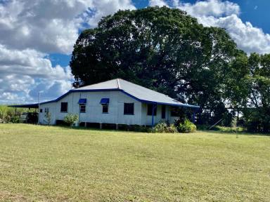 Other (Rural) For Sale - QLD - Brandon - 4808 - 232 Acres Irrigated Cane Farms - Brandon  (Image 2)