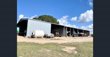 Other (Rural) For Sale - QLD - Brandon - 4808 - 232 Acres Irrigated Cane Farms - Brandon  (Image 2)