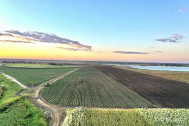 Other (Rural) For Sale - QLD - Brandon - 4808 - 100 Acre Irrigated Cane Farm - Brandon (Image 2)