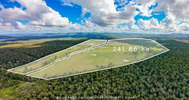 House For Sale - QLD - Glenwood - 4570 - Bush to Beach  (Image 2)