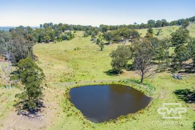Livestock Auction - NSW - Deepwater - 2371 - AUCTION - Eastern Grazing Land  (Image 2)
