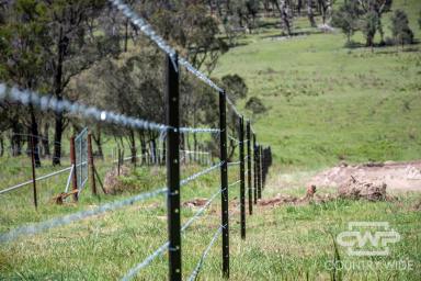 Livestock For Sale - NSW - Deepwater - 2371 - Eastern Grazing Land  (Image 2)