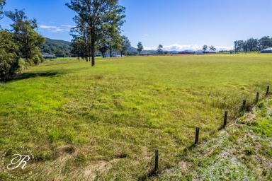 Residential Block For Sale - NSW - Stroud - 2425 - Over 2 Acres of Opportunity  (Image 2)