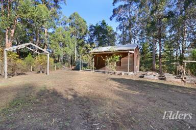 Lifestyle For Sale - VIC - Coalville - 3825 - Charming Historic Schoolhouse Residence on 3 Acres - A Peaceful Retreat with B&B Potential  (Image 2)
