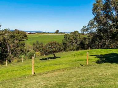 Residential Block For Sale - WA - Belhus - 6069 - Rare 2.5 acre block!  (Image 2)