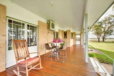 Lifestyle For Sale - NSW - Gilgandra - 2827 - Rural Lifestyle on the banks of the Castlereagh River  (Image 2)