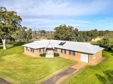 Lifestyle For Sale - NSW - Gilgandra - 2827 - Rural Lifestyle on the banks of the Castlereagh River  (Image 2)