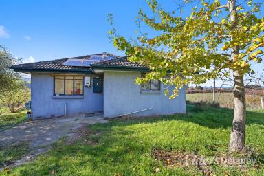 Other (Rural) For Sale - VIC - Yallourn North - 3825 - Fantastic Opportunity - 100 Acre Property with Stunning Outlook  (Image 2)