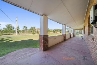 House For Sale - VIC - Walwa - 3709 - Charming Family Retreat with Space, Style & Versatility  (Image 2)