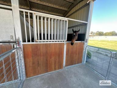 House For Sale - QLD - Forest Hill - 4342 - Bring the Pony!  (Image 2)