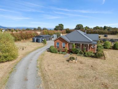 House For Sale - TAS - Westbury - 7303 - Elegant home on small acreage  (Image 2)