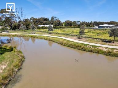 Residential Block For Sale - VIC - Shepparton North - 3631 - Overlook Beautiful Water Views - 3,199m2 Block - Lauriston Estate  (Image 2)