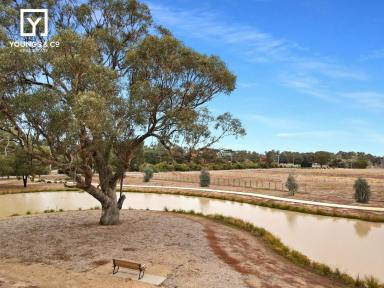 Residential Block For Sale - VIC - Shepparton North - 3631 - Overlook Beautiful Water Views - 3,199m2 Block - Lauriston Estate  (Image 2)