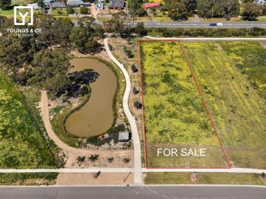 Residential Block For Sale - VIC - Shepparton North - 3631 - Overlook Beautiful Water Views - 3,199m2 Block - Lauriston Estate  (Image 2)
