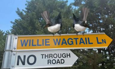 Residential Block For Sale - NSW - Bega - 2550 - FIVE ACRE BLOCKS BY THE RIVER (PRICE REDUCED)  (Image 2)