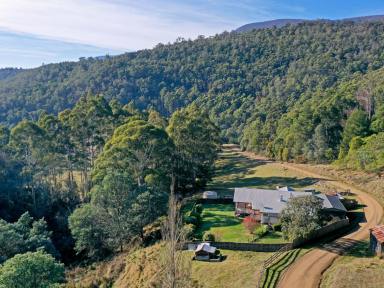 House For Sale - TAS - Lachlan - 7140 - Must See Stunning Property  (Image 2)