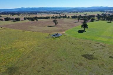 Residential Block For Sale - VIC - Briagolong - 3860 - 'The Pearce Paddock'  (Image 2)