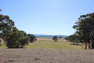 Residential Block For Sale - VIC - Briagolong - 3860 - 'The Pearce Paddock'  (Image 2)