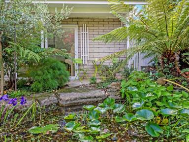 House For Sale - TAS - Newnham - 7248 - Large house with fantastic features and separate studio. Close to all facilities.  (Image 2)