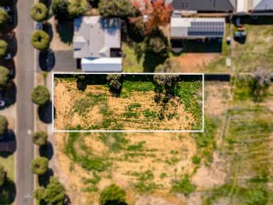 Residential Block For Sale - WA - Boyanup - 6237 - Big on Land Size, Even bigger on Country Charm!!  (Image 2)