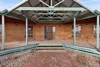 House Auction - VIC - Merbein - 3505 - Expansive Acreage with Potential inside and out  (Image 2)