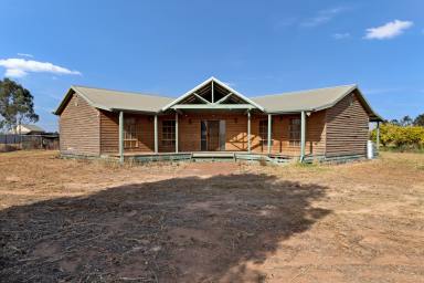 House Auction - VIC - Merbein - 3505 - Expansive Acreage with Potential inside and out  (Image 2)
