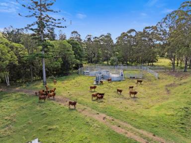 Livestock For Sale - QLD - Croftby - 4310 - An incredibly picturesque, highly improved rural property of significant scale  (Image 2)