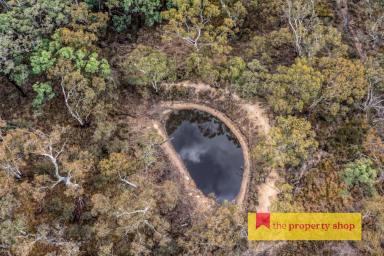 Other (Rural) For Sale - NSW - Mudgee - 2850 - TRANQUIL COUNRTY LIFESTYLE  (Image 2)