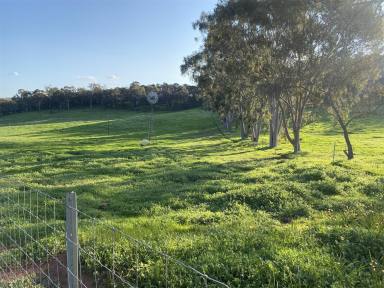 Lifestyle For Sale - WA - Clackline - 6564 - Unleash Your Imagination: 1.86 Hectares for Your Perfect Country Lifestyle!  (Image 2)