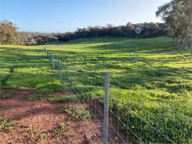 Lifestyle Sold - WA - Clackline - 6564 - Unleash Your Imagination: 1.86 Hectares for Your Perfect Country Lifestyle!  (Image 2)