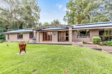 House For Sale - QLD - West Woombye - 4559 - Tranquil Retreat with Sweeping Hinterland Views!  (Image 2)
