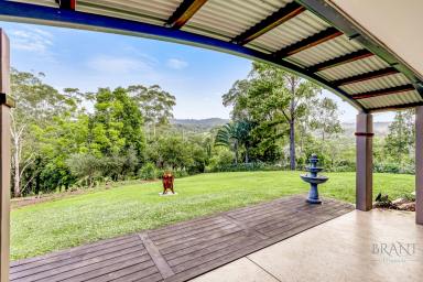 House For Sale - QLD - West Woombye - 4559 - Tranquil Retreat with Sweeping Hinterland Vistas!  (Image 2)