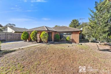 House Sold - VIC - Cranbourne North - 3977 - Potential plus! Great Value - Possible Dual Occupancy subdivision ( STCA)  (Image 2)