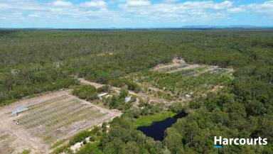 Lifestyle For Sale - QLD - Isis Central - 4660 - Move Over NATURE LOVERS!  (Image 2)