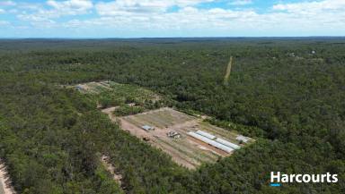 Lifestyle For Sale - QLD - Isis Central - 4660 - Move Over NATURE LOVERS!  (Image 2)