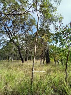 Residential Block For Sale - QLD - Millstream - 4888 - See past the shrubs and trees....  (Image 2)
