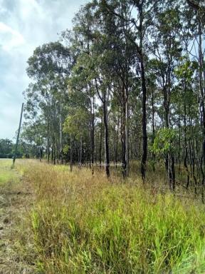 Residential Block For Sale - QLD - Millstream - 4888 - See past the shrubs and trees....  (Image 2)