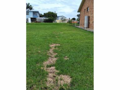 Residential Block For Sale - NSW - Coomba Park - 2428 - Pristine position and well-priced  (Image 2)