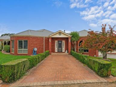 Acreage/Semi-rural For Sale - VIC - Nicholson - 3882 - 5 ACRES, 5 BEDROOMS & A VINEYARD!  (Image 2)