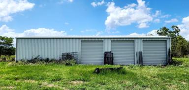 Residential Block For Sale - QLD - Bilyana - 4854 - Rural acreage suits cattle or small crops, just 20 minutes north of Cardwell.  (Image 2)
