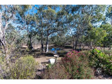 Acreage/Semi-rural For Sale - SA - Mount Torrens - 5244 - A Magical Place of Distinct Individuality  (Image 2)