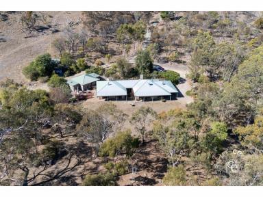 Acreage/Semi-rural For Sale - SA - Mount Torrens - 5244 - A Magical Place of Distinct Individuality  (Image 2)