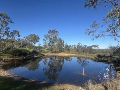Acreage/Semi-rural For Sale - SA - Mount Torrens - 5244 - Wonderland of water, character and quality  (Image 2)