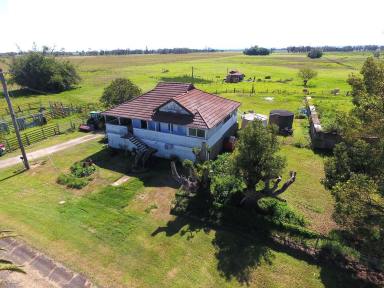 Livestock For Sale - NSW - Woodburn - 2472 - RURAL LIVING - NEAR THE COAST 128 ACRES  (Image 2)