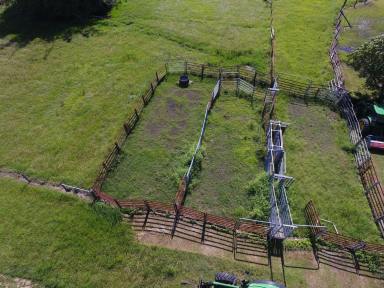 Livestock For Sale - NSW - Woodburn - 2472 - RURAL LIVING - NEAR THE COAST 128 ACRES (Image 2)